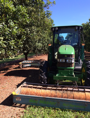 Wondaree Macadamias Tractor